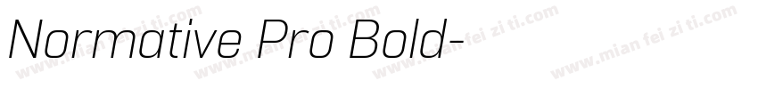 Normative Pro Bold字体转换